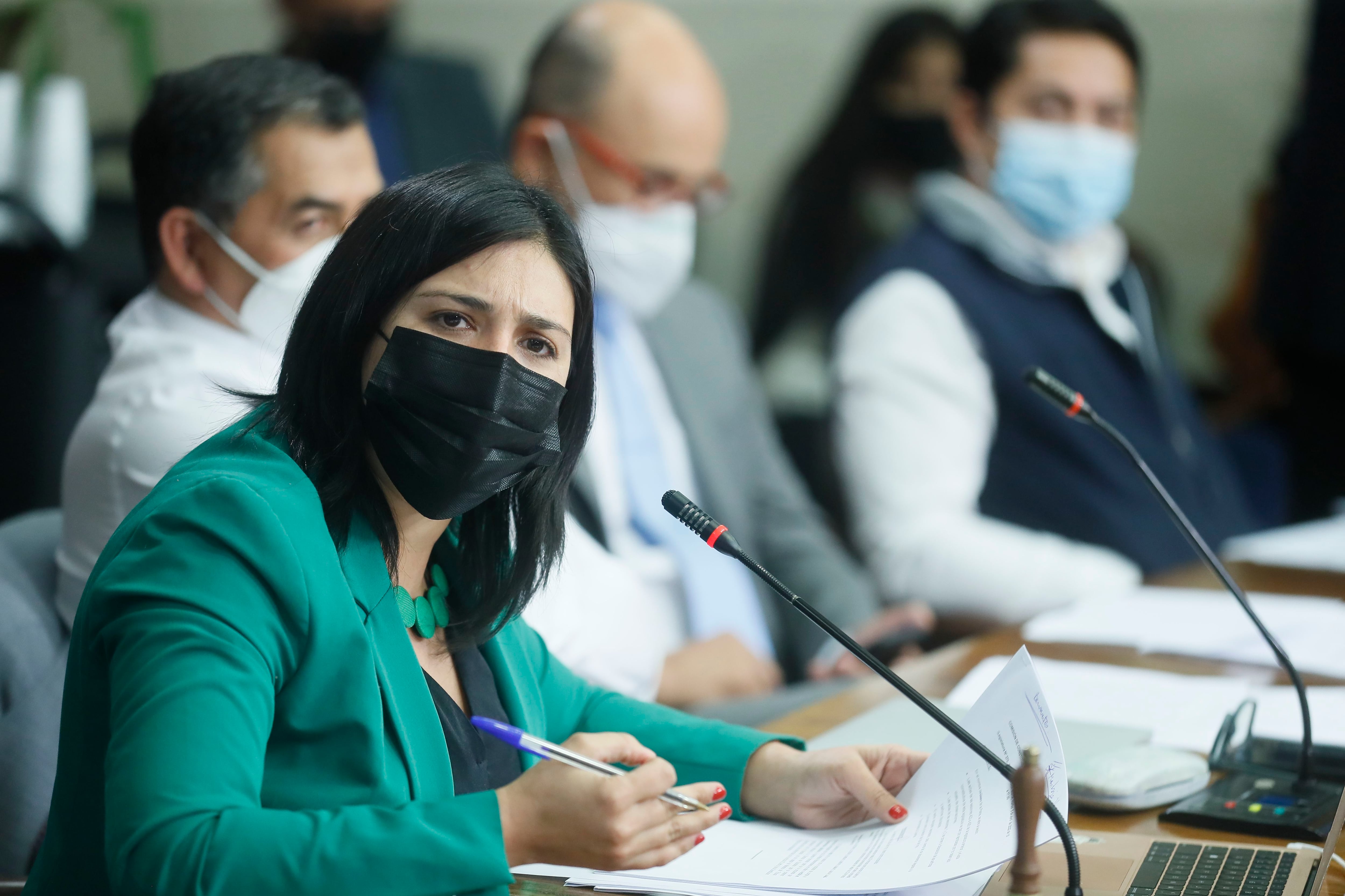 Karol Cariola, presidiendo Comisión de Constitución