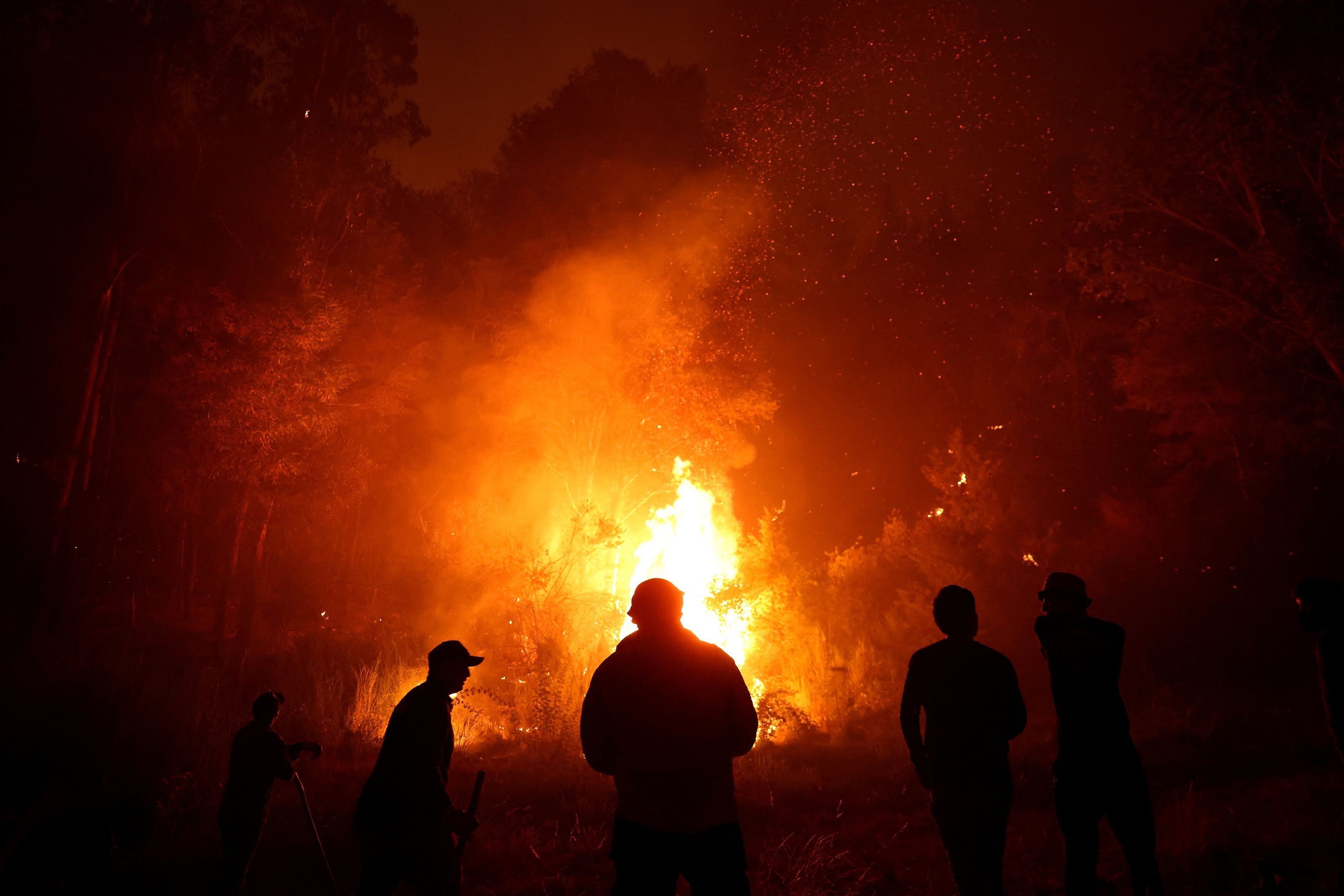 Wildfires in Chile