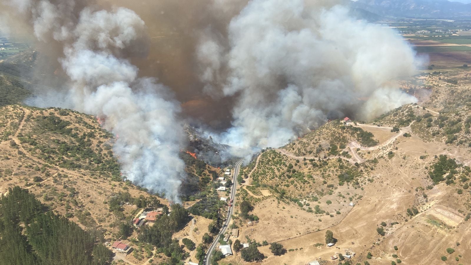 Imagen aérea incendio forestal Santa Cruz. Imagen Conaf.