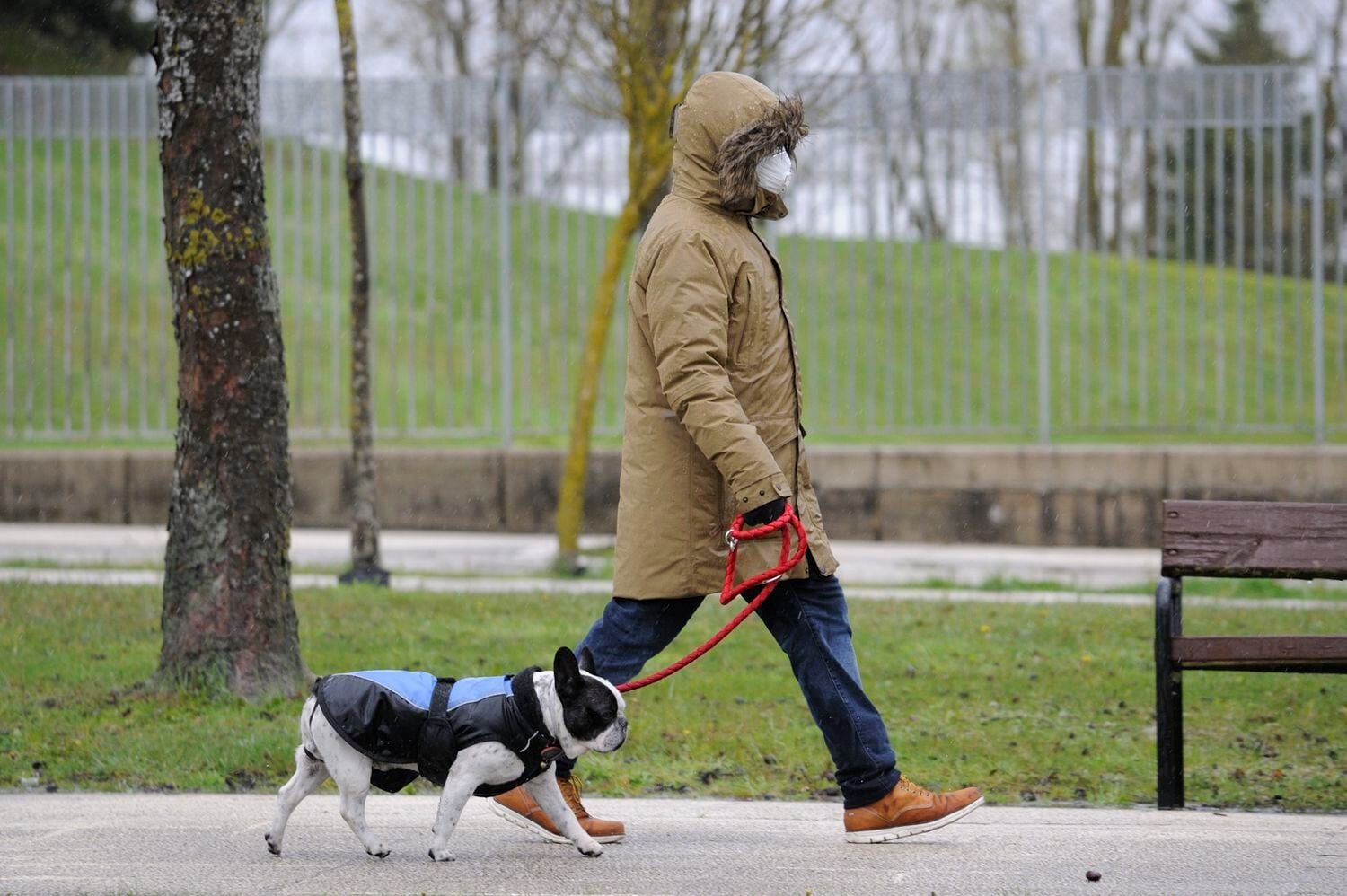 mujer perro pandemia