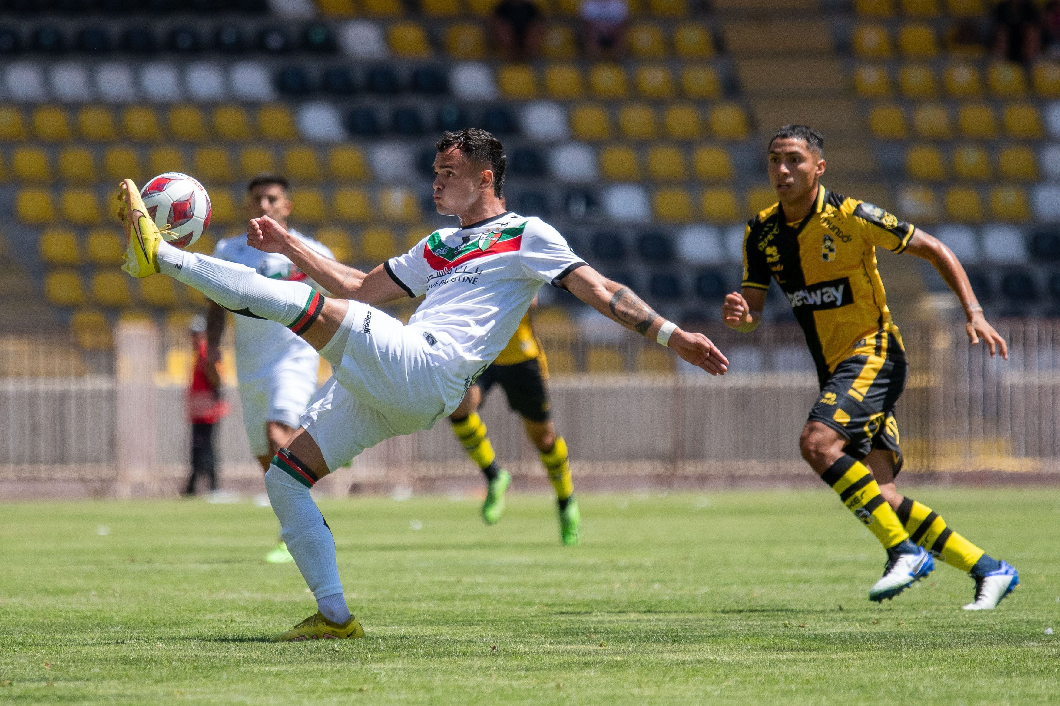 Coquimbo vs Palestino