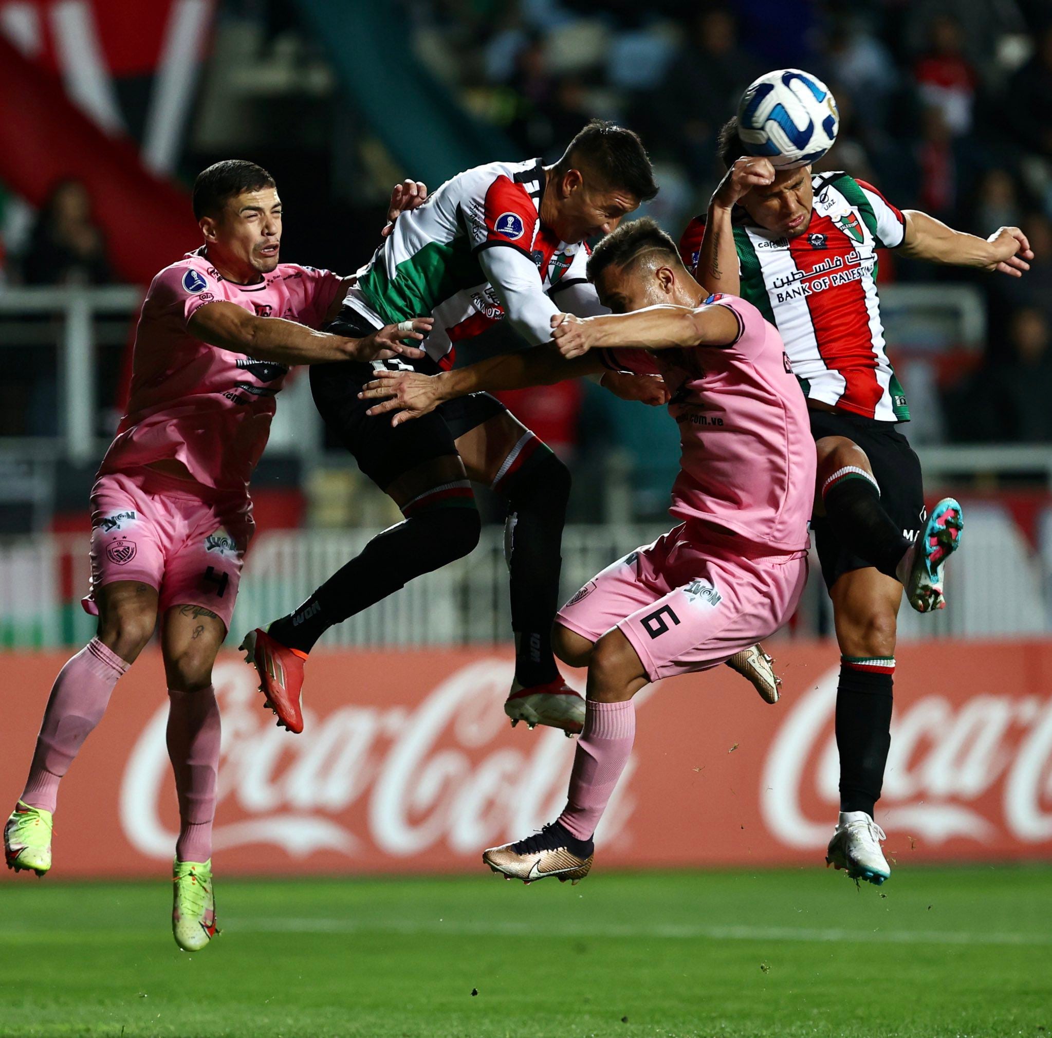 Palestino