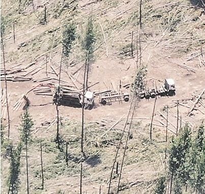 Toma aérea de robo de madera.