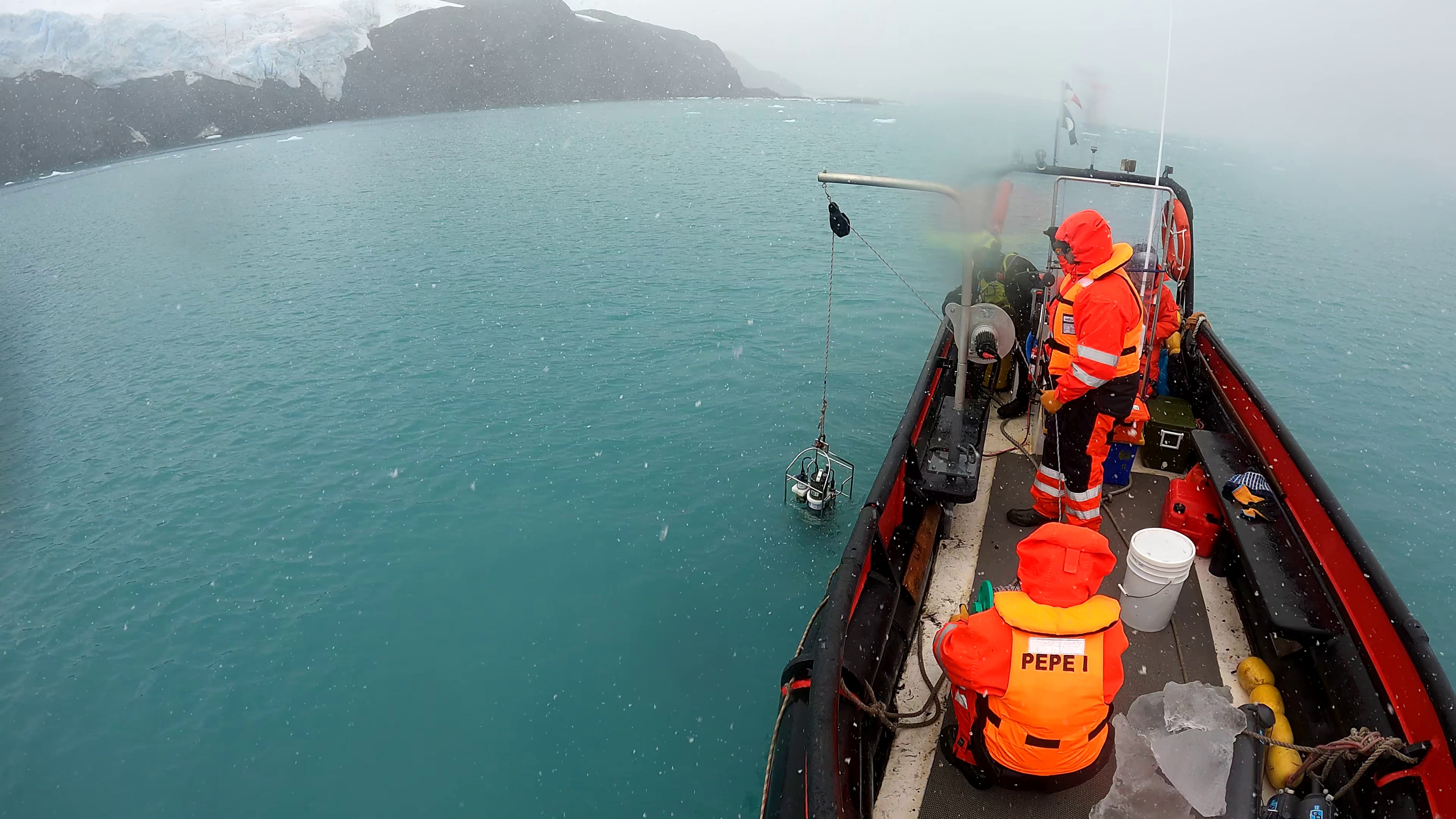 Bitácora de un científico en la Antártica: Ciencia bastarda