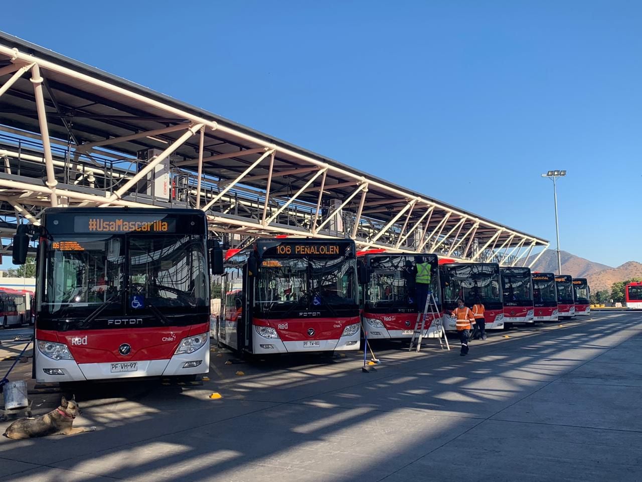 Buses Eléctricos