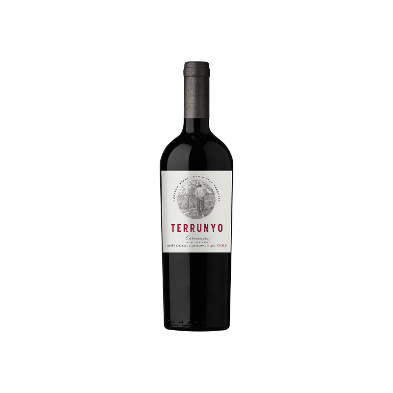 Vino Terrunyo Carmenere