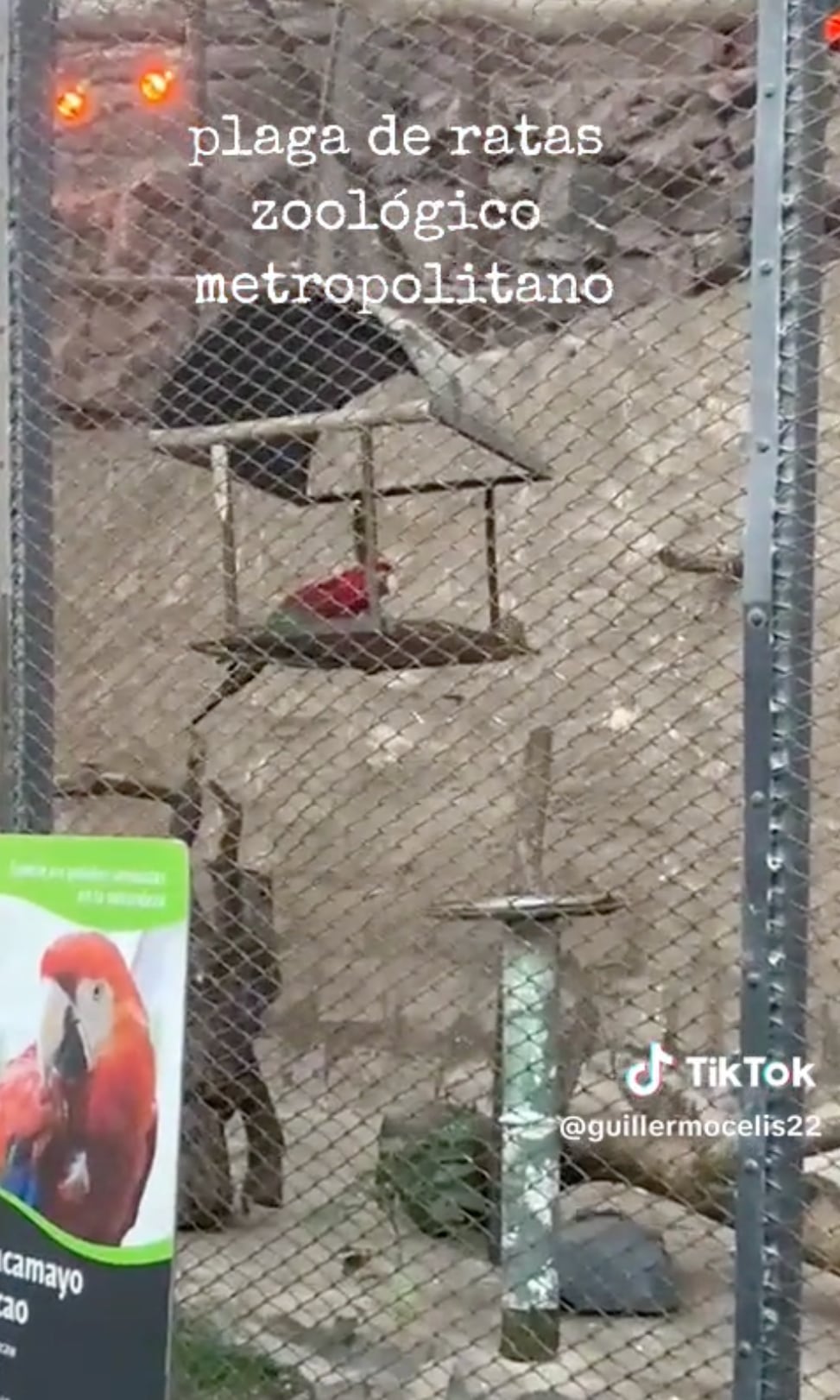 Zoológico Metropolitano