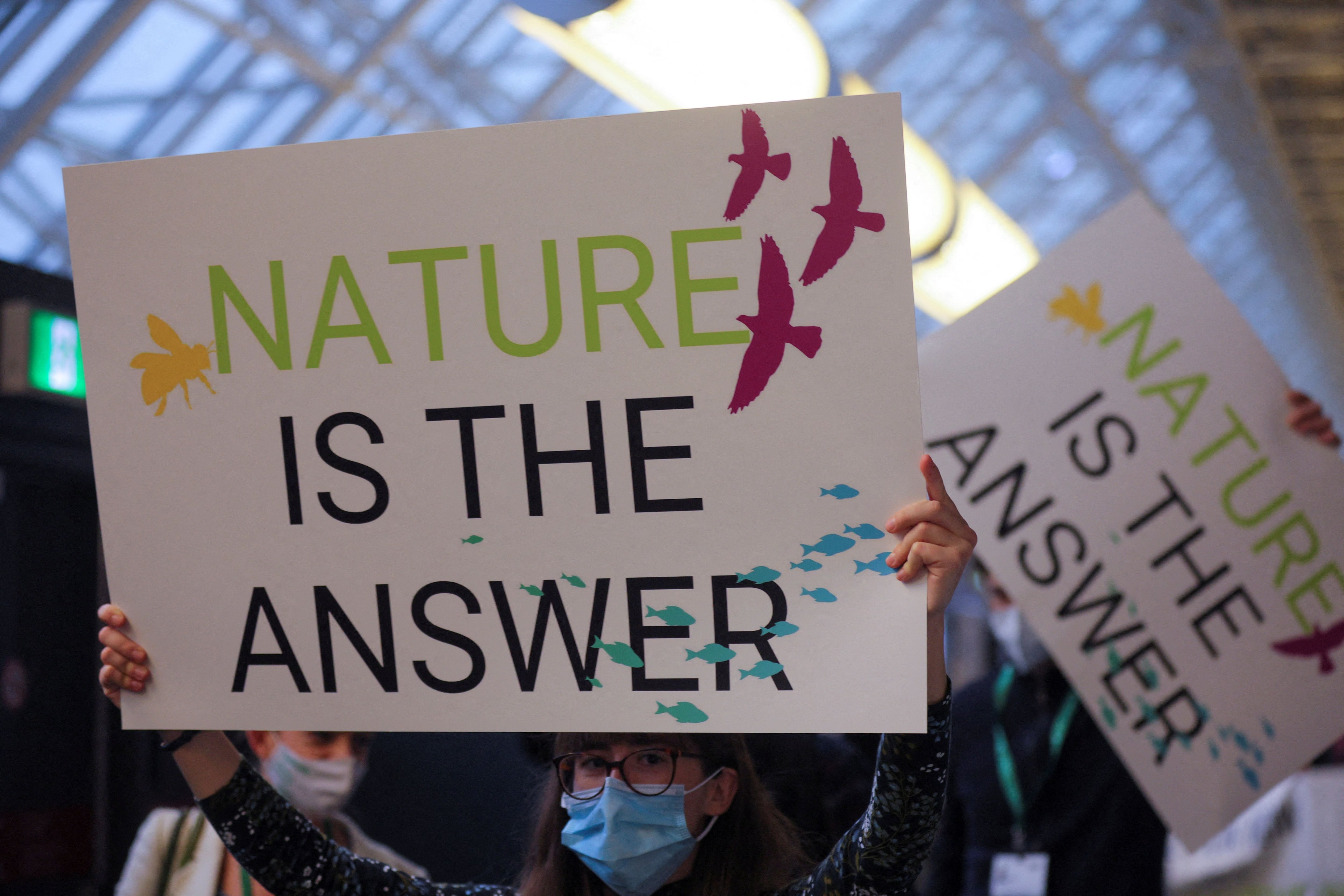 FILE PHOTO: COP15, the two-week U.N. Biodiversity summit in Montreal