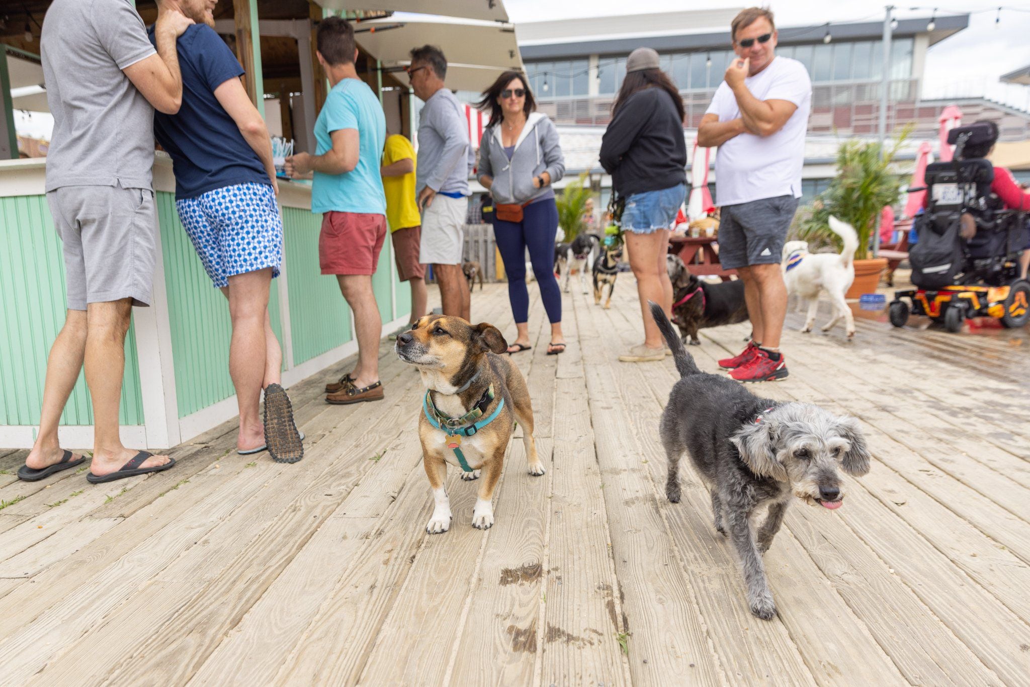 Wonder Bar Yappy Hour