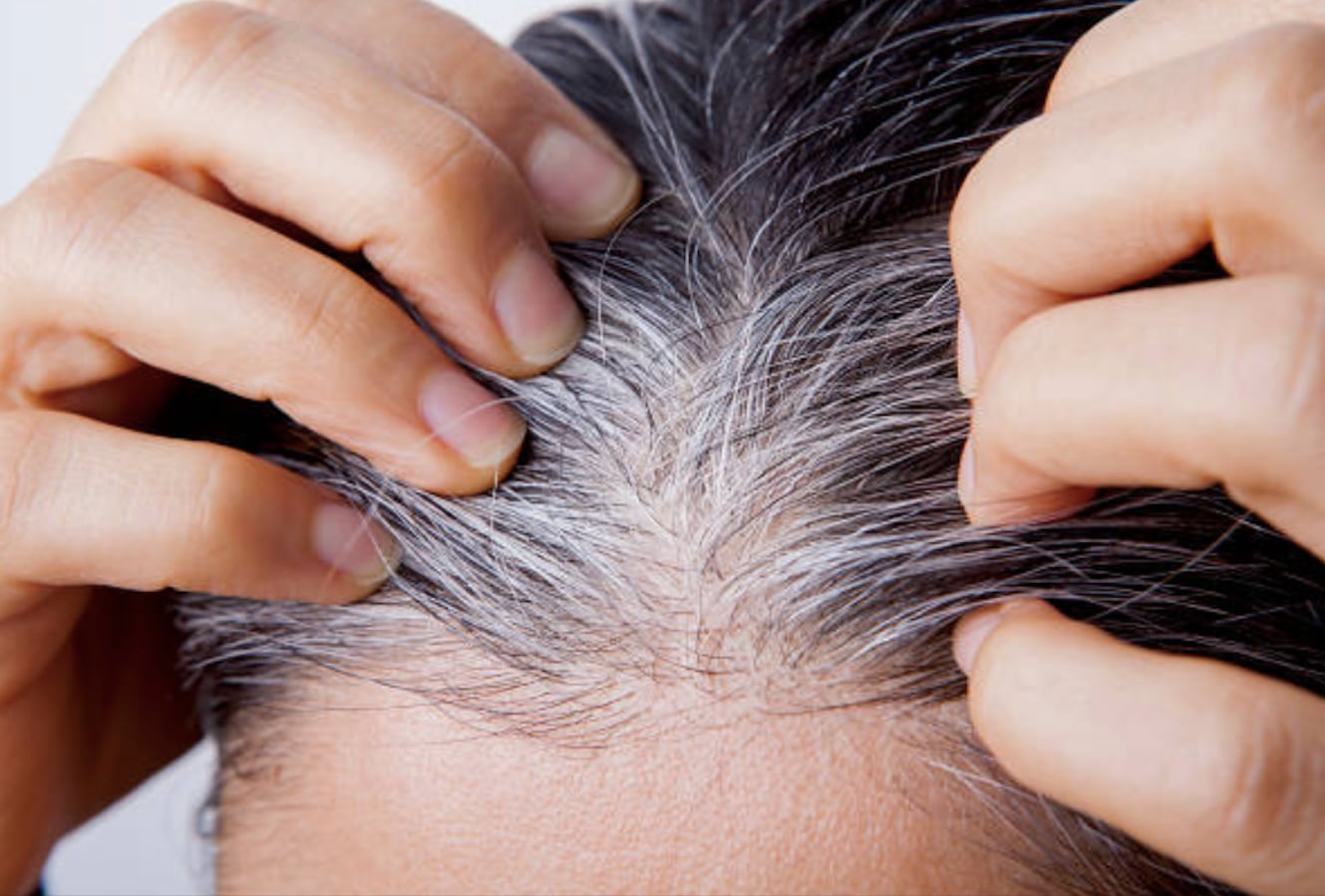 Cabello con canas