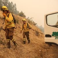 Alerta roja en Vallenar por incendio forestal cercano a sectores habitados