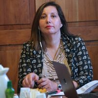 Ante poca participación en primarias: Vodanovic (PS) acusa que “hay un incumplimiento grave del Servel por la falta de difusión”