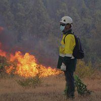 Decretan alerta roja en Villarrica por incendio forestal: llaman a evacuar población del sector Segunda Faja