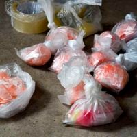 Informe ONU sobre drogas: producción de cocaína aumenta 20% respecto al año anterior y llega a más de 2.700 toneladas