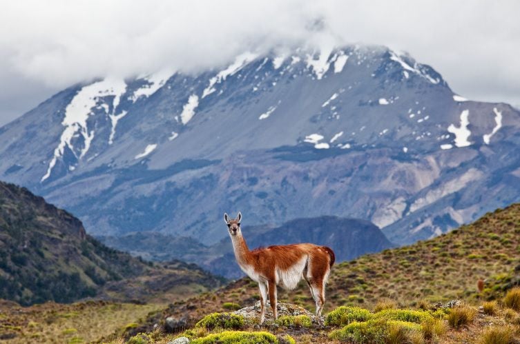 Parque nacional Patagonia