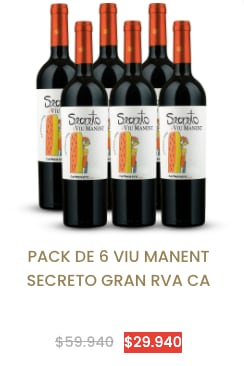 Viu Manent Secreto Gran Reserva