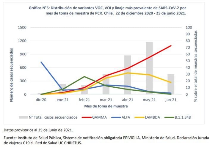 informe variantes minsal 25 de junio