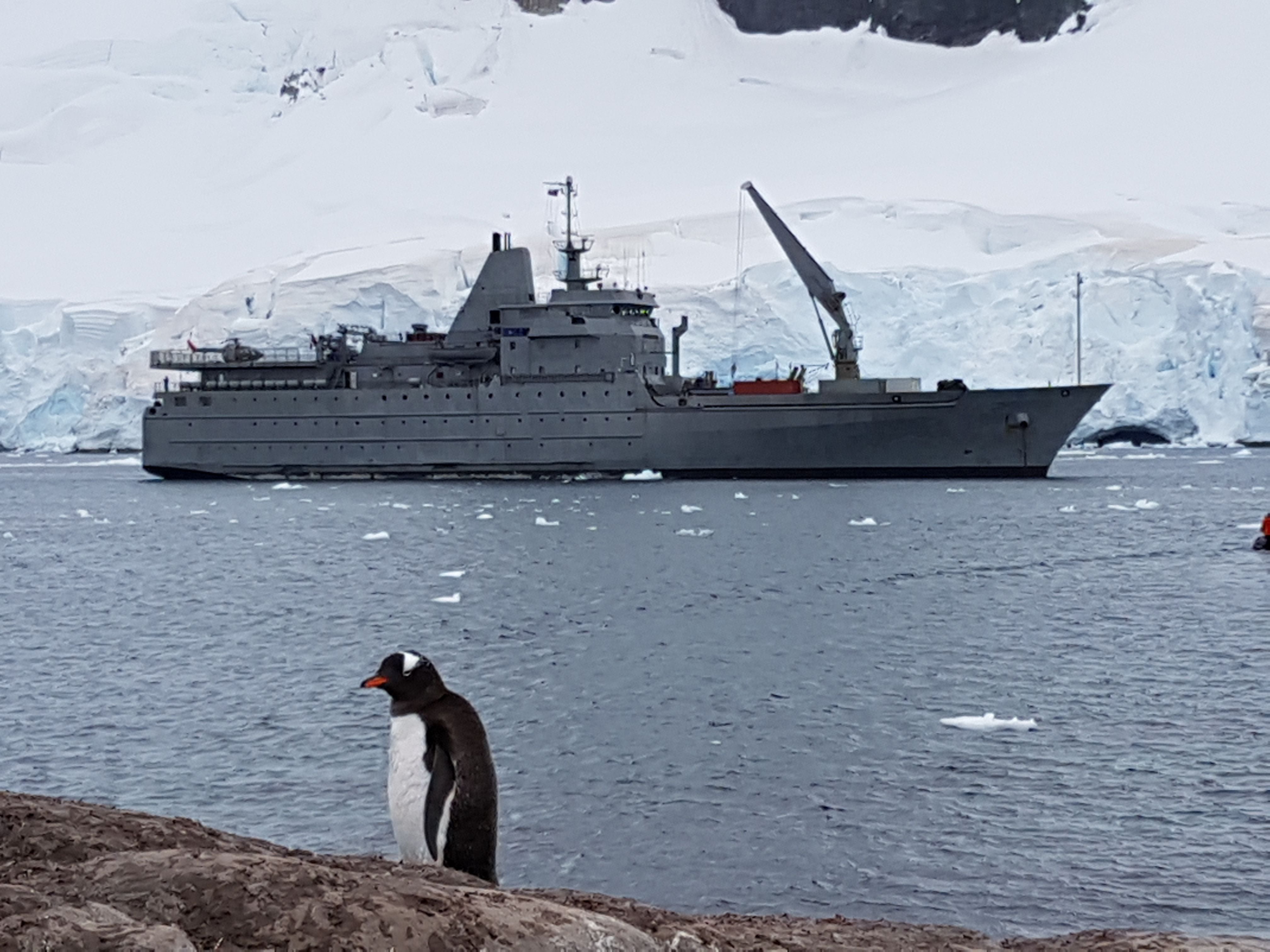 Bitácora de un científico en la Antártica: El colectivo más austral del mundo