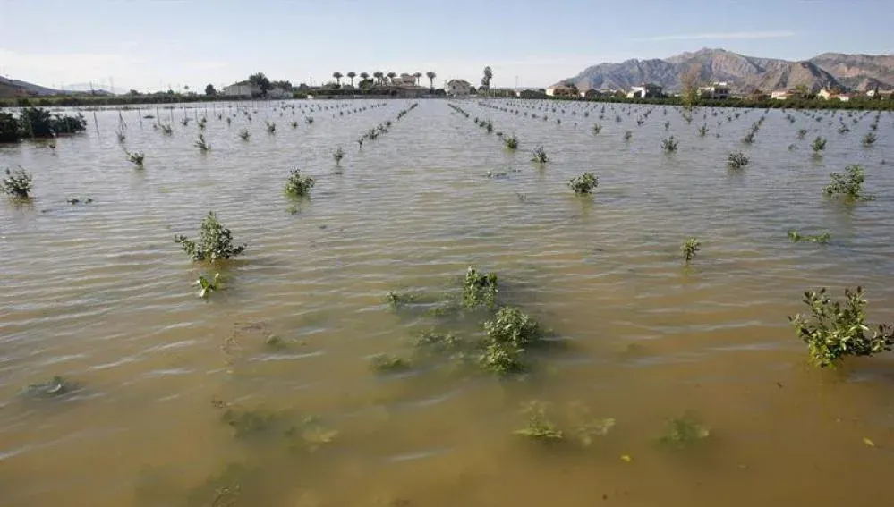 El potente fenómeno El Niño amenaza la seguridad alimentaria en el mundo