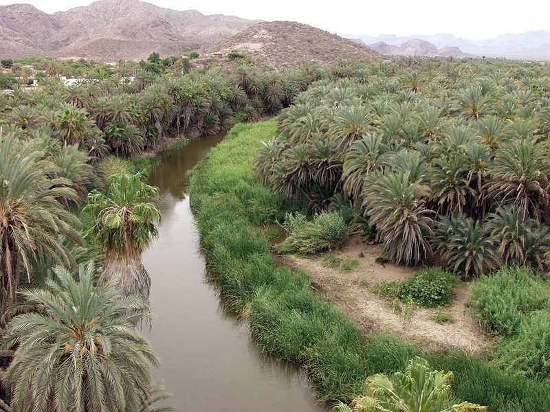 Baja California Sur