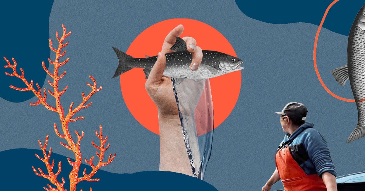 La Lucha De La Mujer Pesca La Pesca De Agua Salada Con Rod Y El