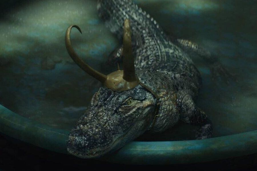 El lagarto Loki “es tan estúpido, pero también tiene todo el sentido” según  guionista de la serie - La Tercera