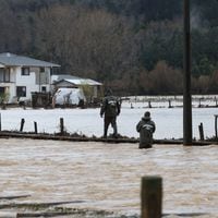Senapred solicita evacuar sectores de Arauco por desborde del río Pichilo