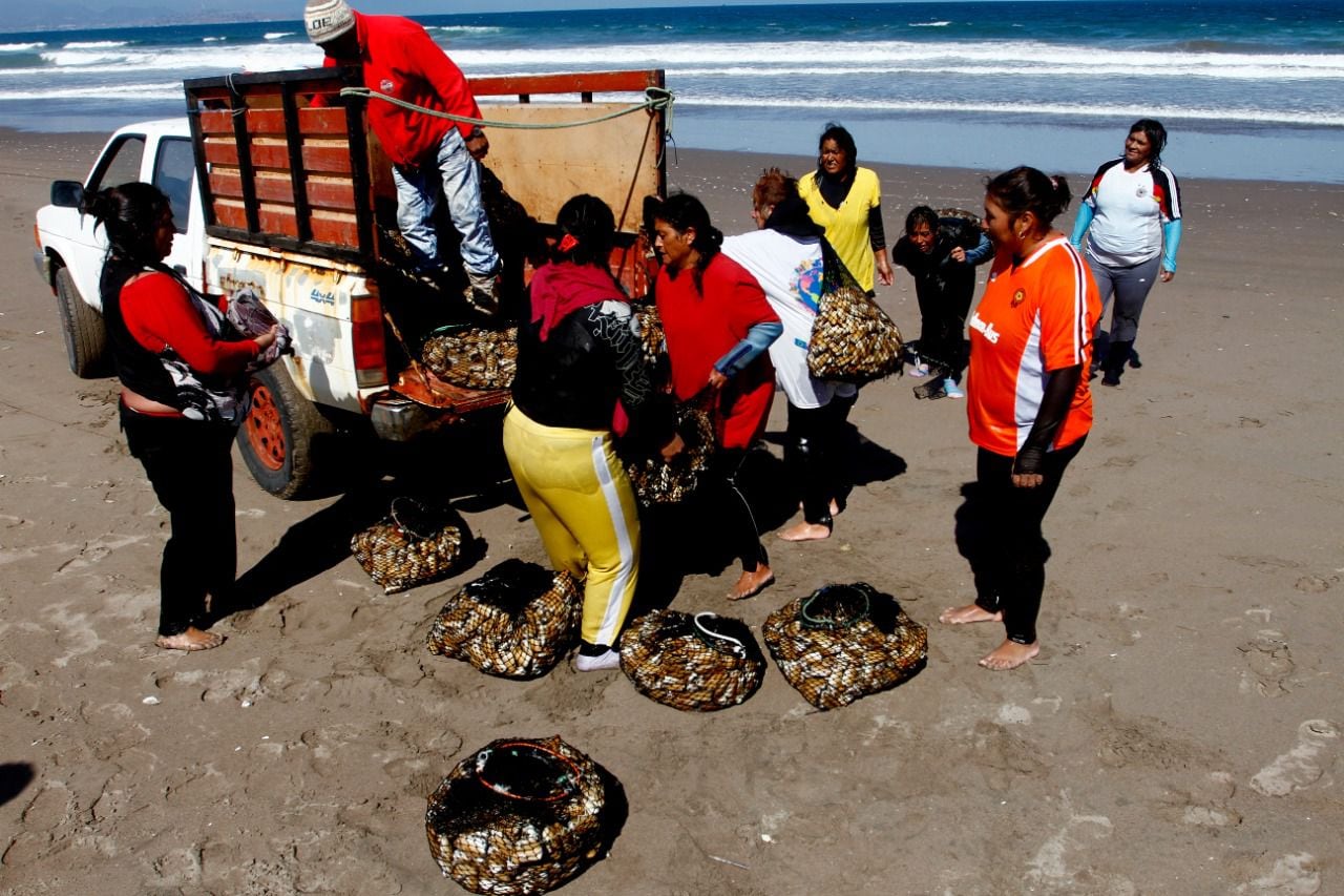 pesca - mujeres