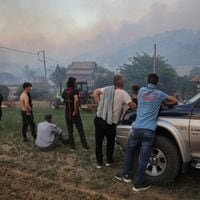 Grecia combate múltiples incendios forestales avivados por vientos huracanados