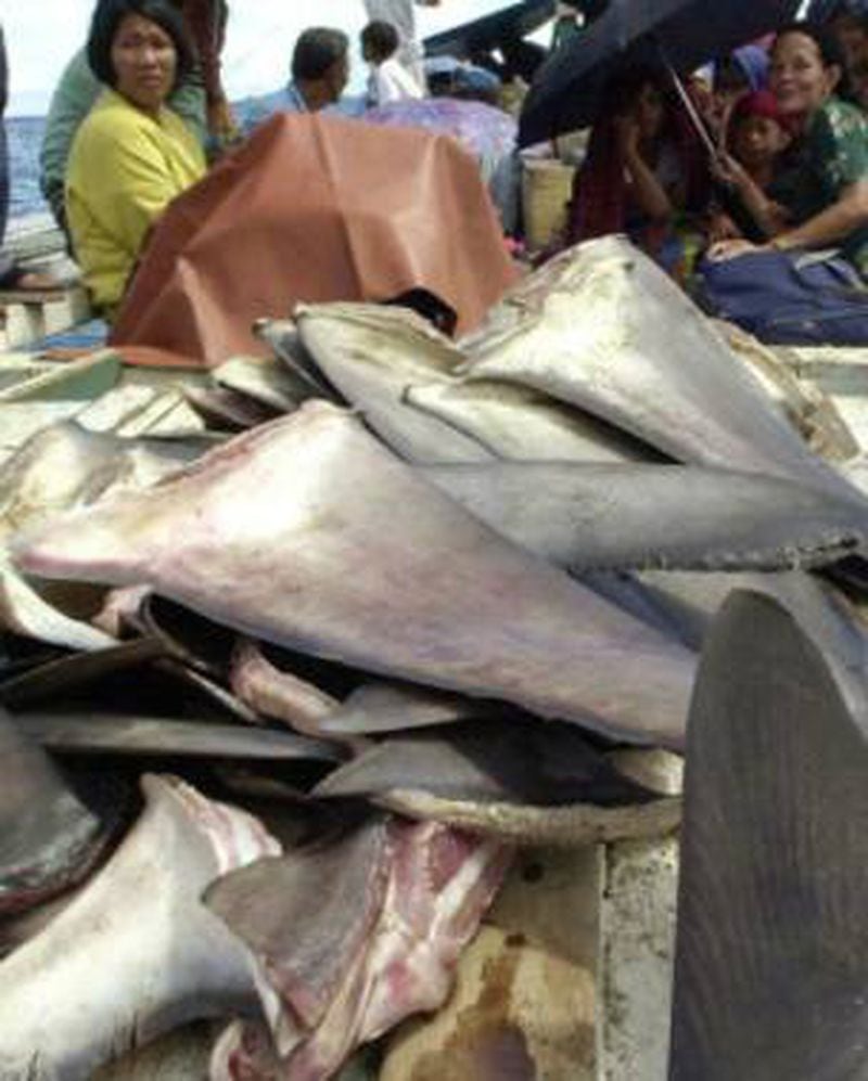 La Enorme Operación Ilegal De Barcos Pesqueros De China En Aguas De ...