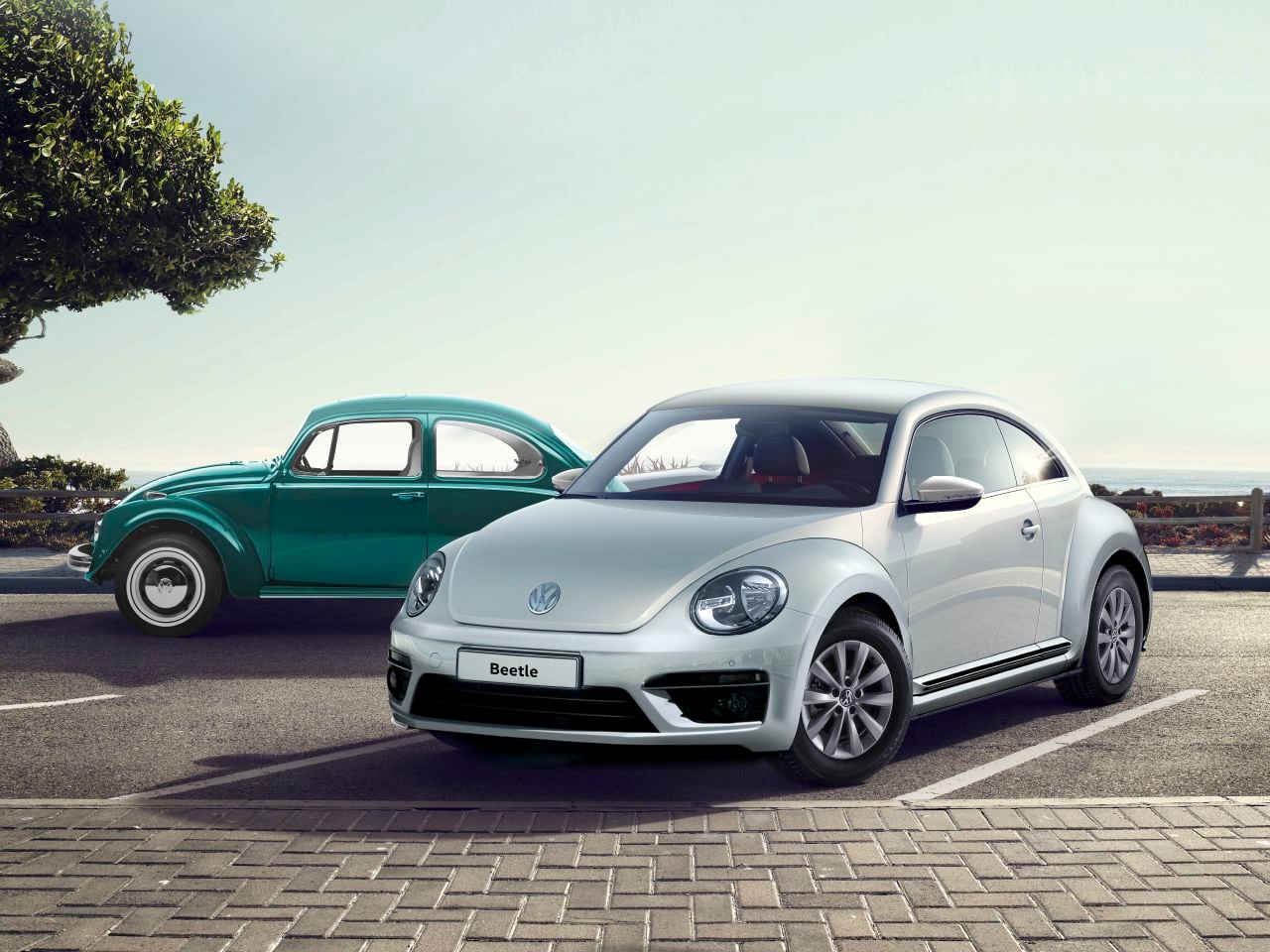 Beetle