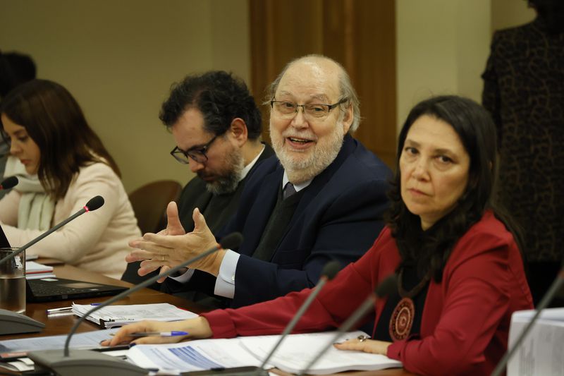 Andrés Tagle y la subsecretaria Macarena Lobos en sesión de la comisión de Gobierno Interior de la Cámara de Diputados.