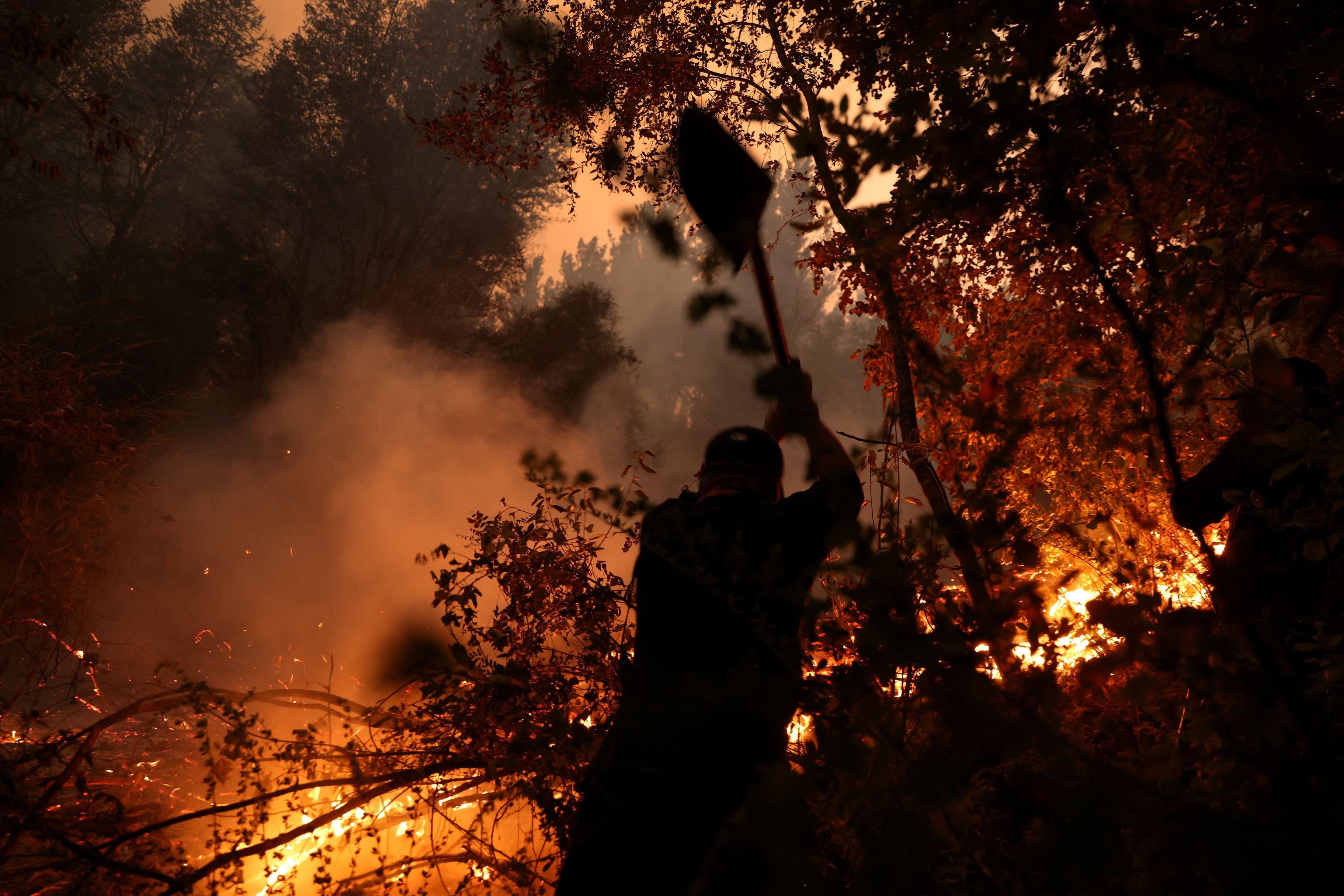 Incendios forestales y la nueva amenaza global: ¿Cuál es el causante de su alto poder destructivo?