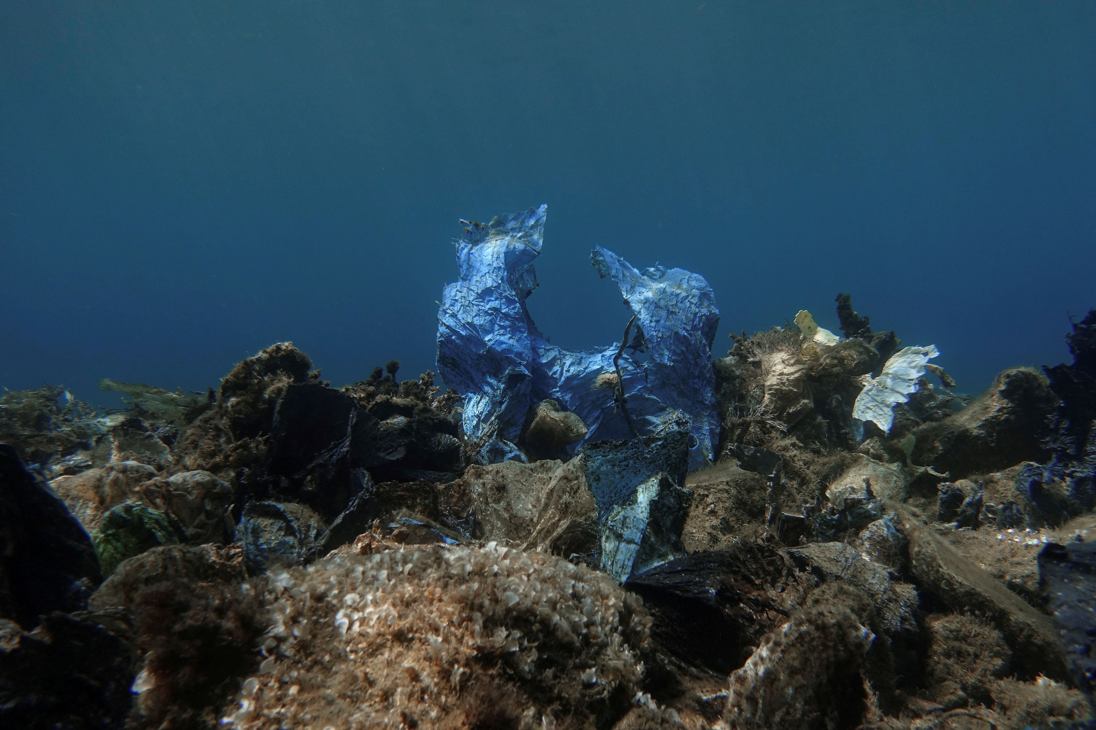 FILE PHOTO: A plastic bag is seen at the bottom of the sea, off the island of Andros