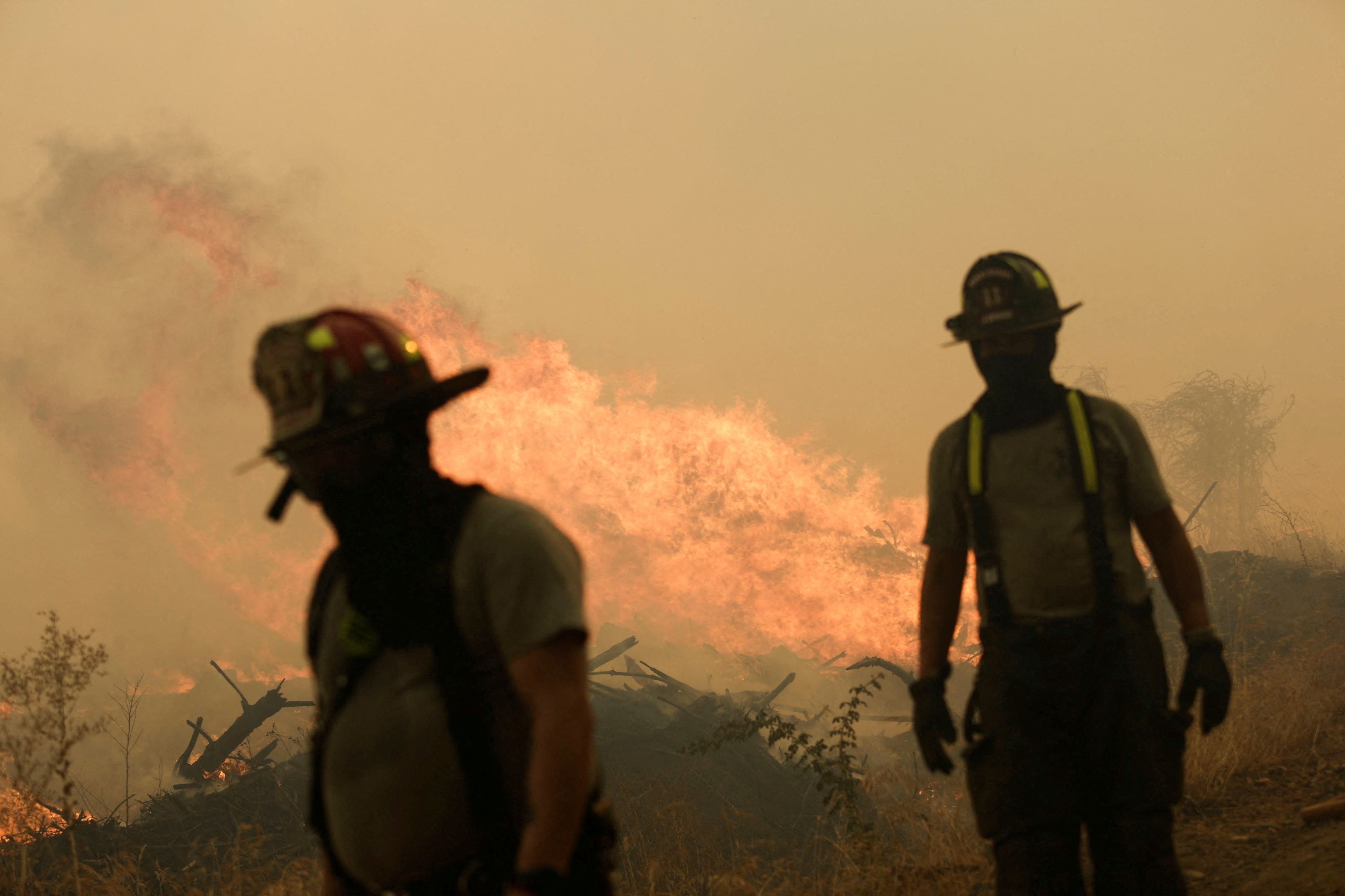 Wildfire burns parts of rural areas in Quillon