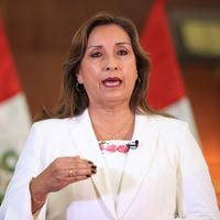 Denunciarán a Boluarte ante Corte Penal Internacional por presunta violación de los DD.HH. durante protestas en Perú