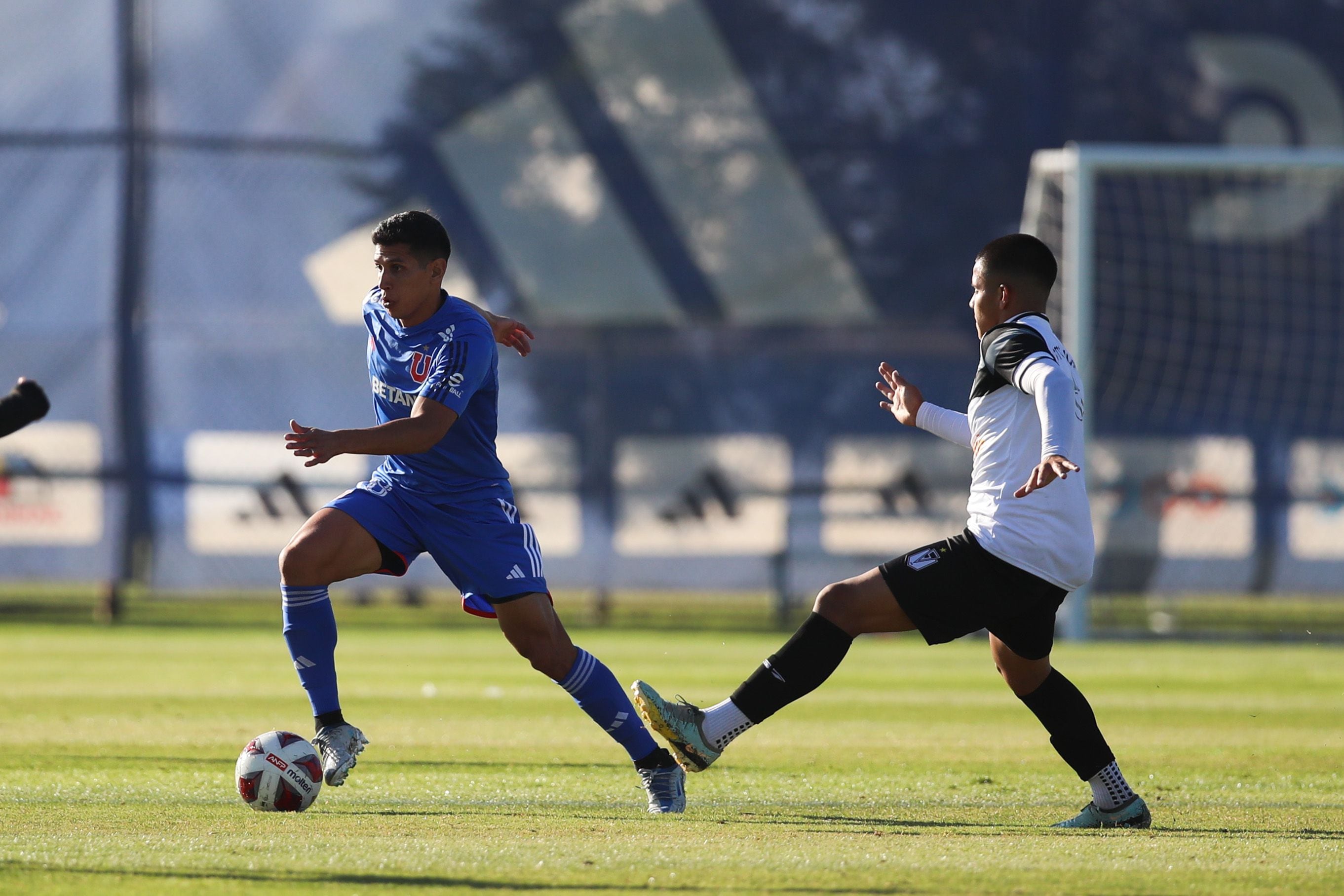 Universidad de Chile