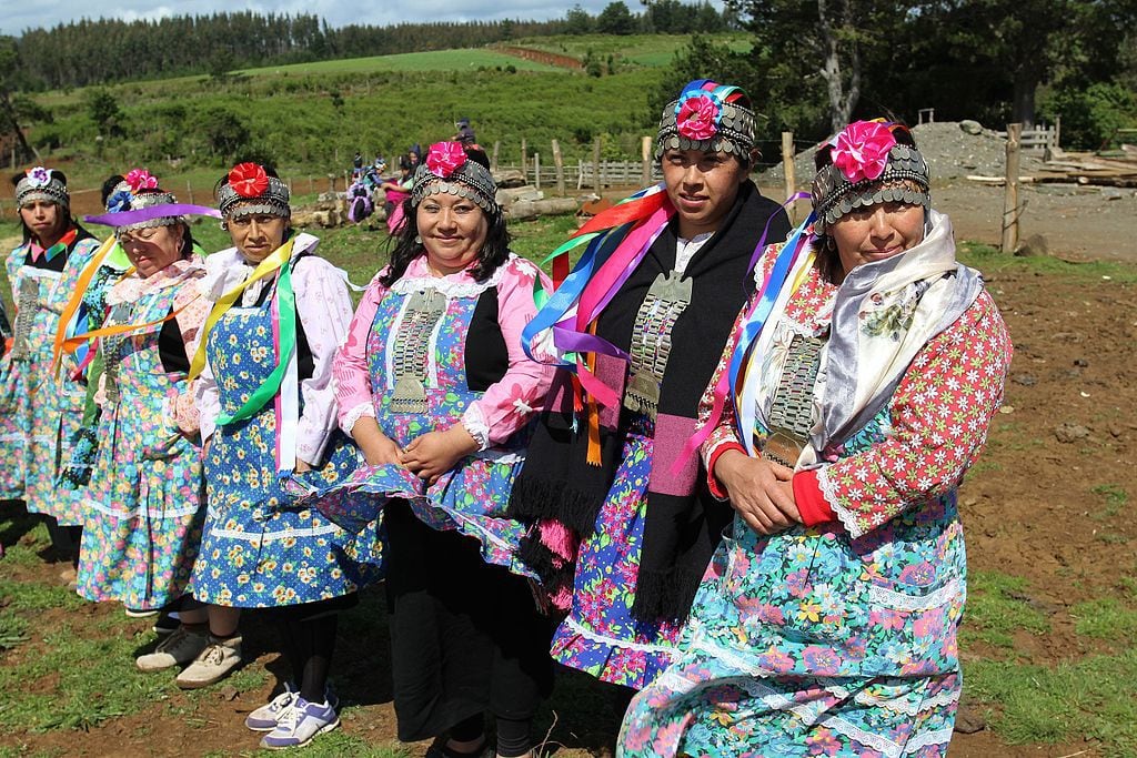 mapuche