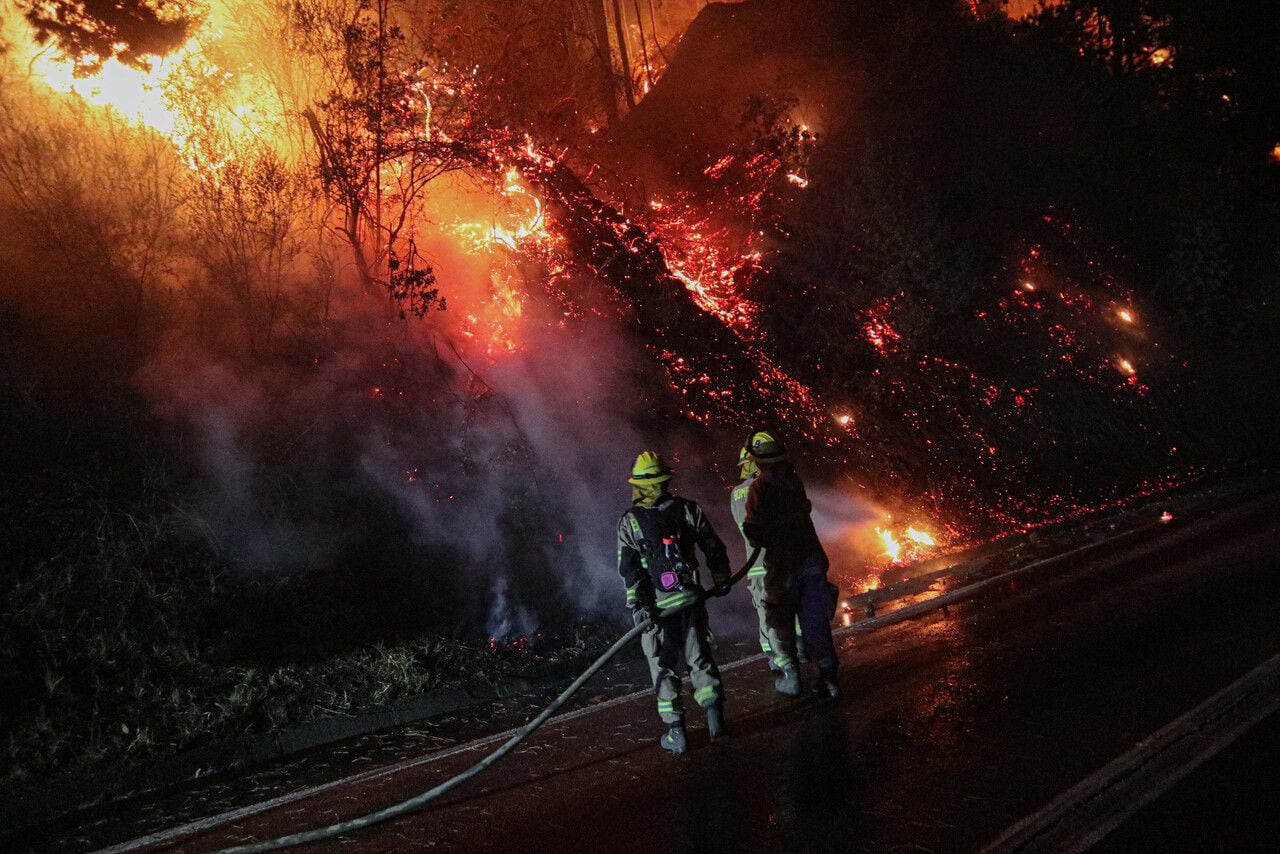 Incendio forestal