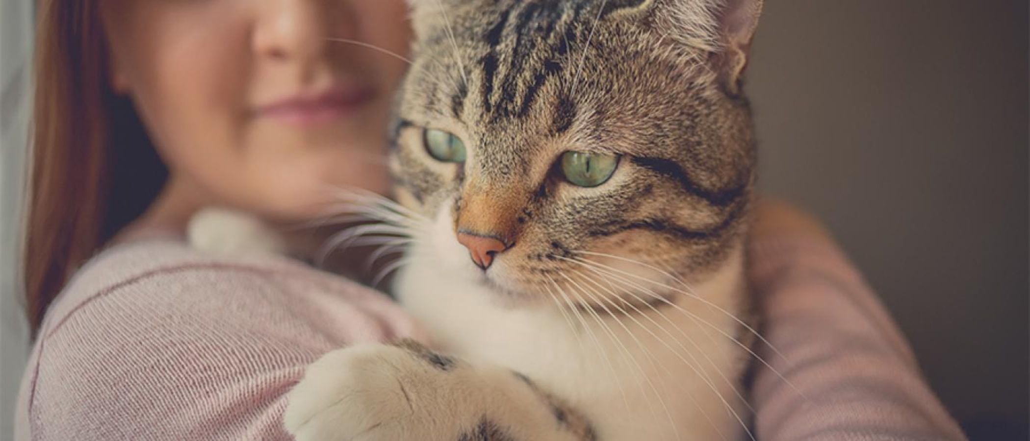 Sabemos como ven los gatos?: Vitakraft, con amor
