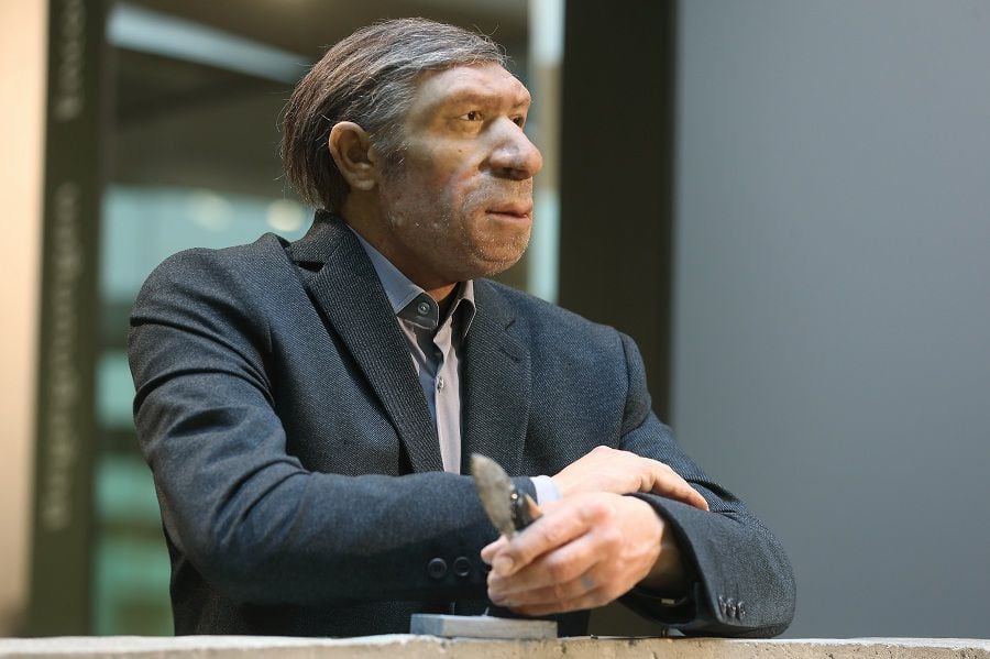 Neanderthal gets new suit