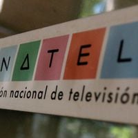 Anatel anuncia que nuevo evento solidario por los incendios será transmitido por todos los canales de TV