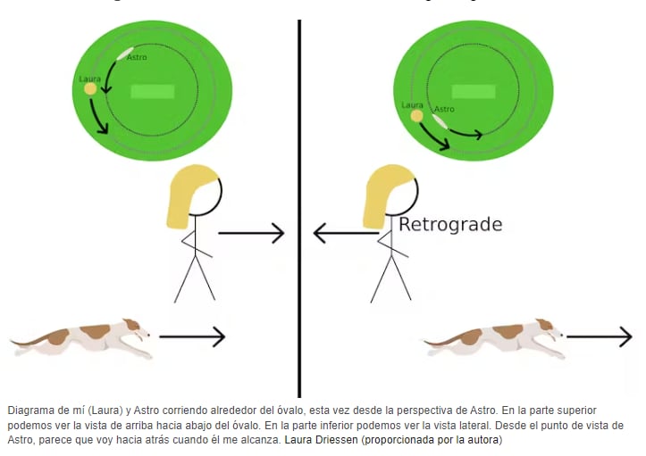 Mercurio retrógrado