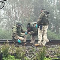 ¿Usaron explosivos?: Labocar levanta evidencia clave desde sitio del suceso donde se destruyeron rieles del tren en Ercilla