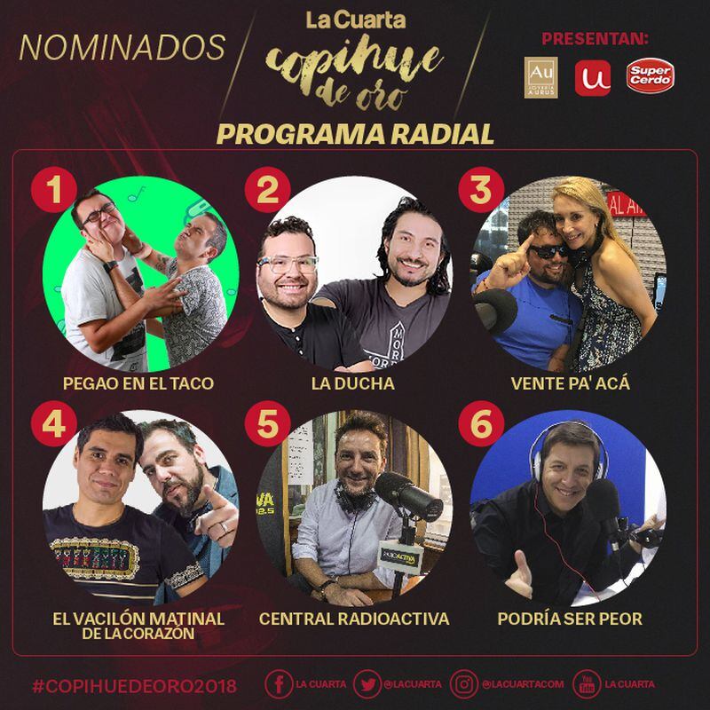 Revelan lista de nominados al Copihue de Oro 2018 - La Tercera