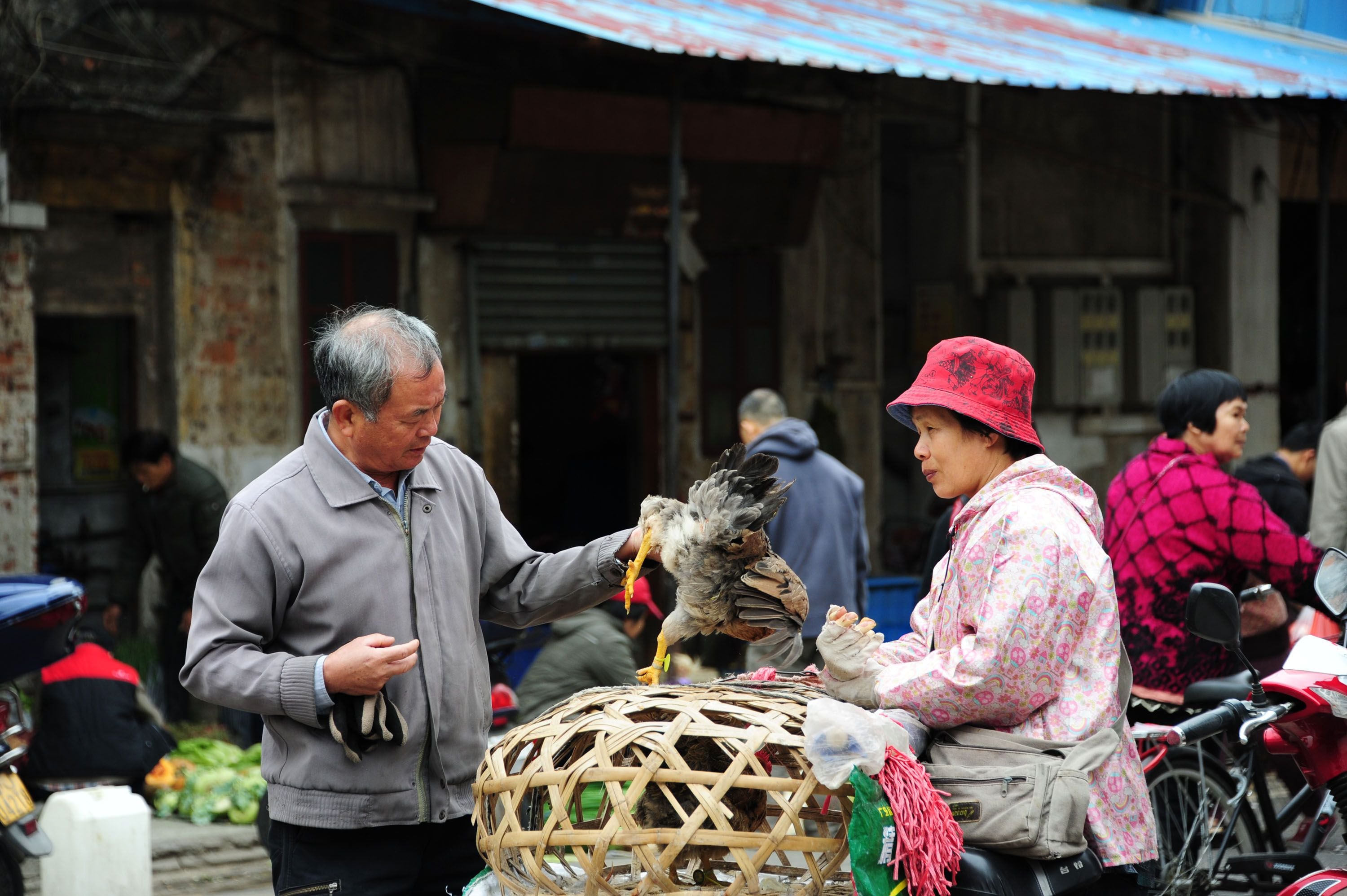 Two H5N6 cases reported in S China including one death