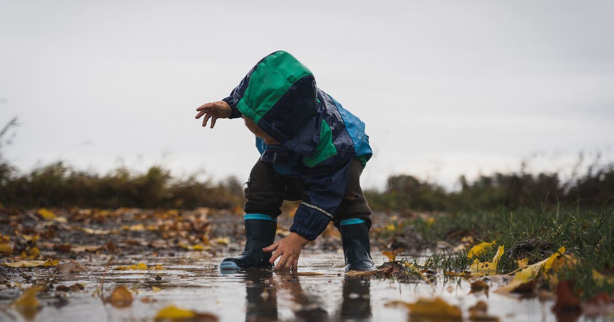 Un niño camina con ropa abrigada en el frío de febrero hay muchos árboles  alrededor