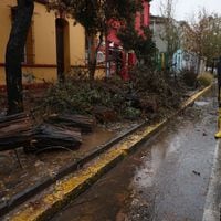 Santiago enfrentará vientos de hasta 50 km/h: así será el sistema frontal que llega este jueves