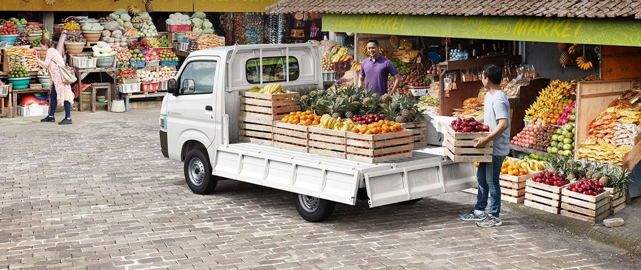 Suzuki Carry