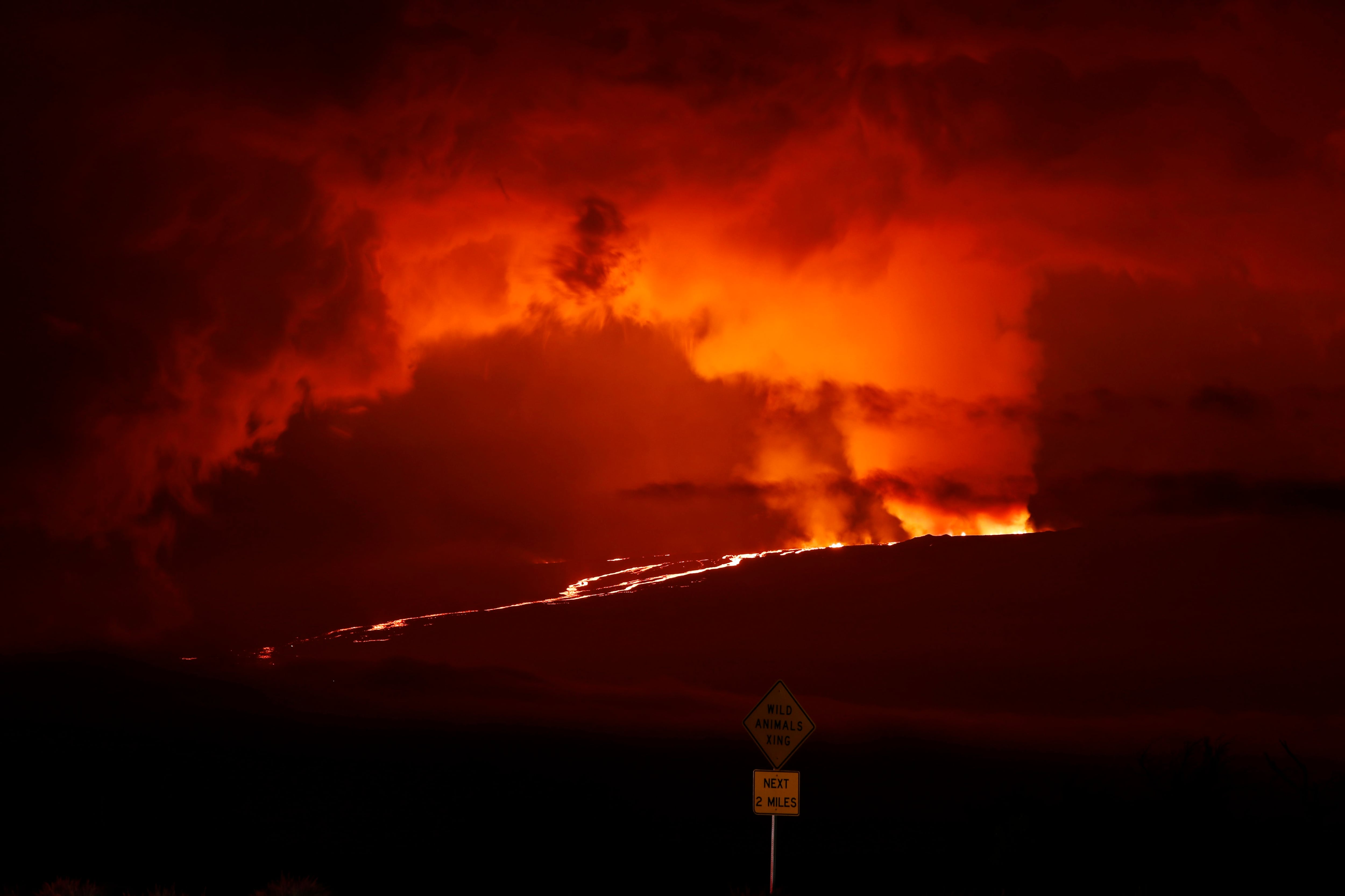 Lea también: Mauna Loa y Villarrica entran en actividad: ¿Cuál es la conexión de estos dos temibles volcanes?